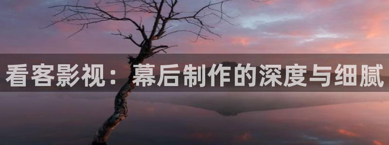 请回答1988在线观看策驰影院：看客影视：幕后制作的深度与细腻