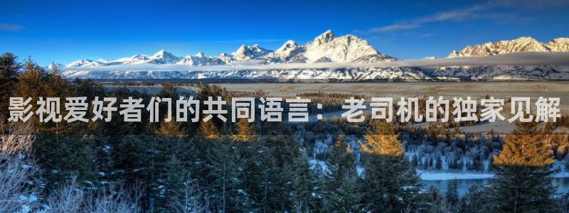 超碰在线987：影视爱好者们的共同语言：老司机的独家见解