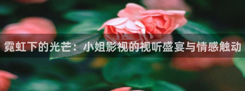 红桃影院kht.98vip：霓虹下的光芒：小姐影视的视听盛宴与情感触动