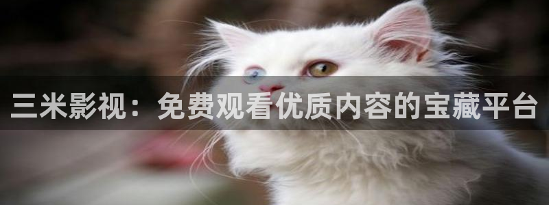 请回答1988高清资源