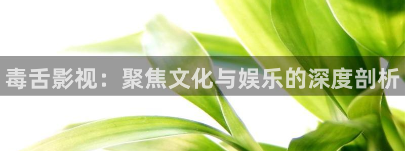 请回答1988电影天堂：毒舌影视：聚焦文化与娱乐的深度剖析